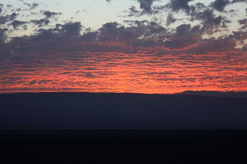 1064-Nazca,17 luglio 2013.JPG
